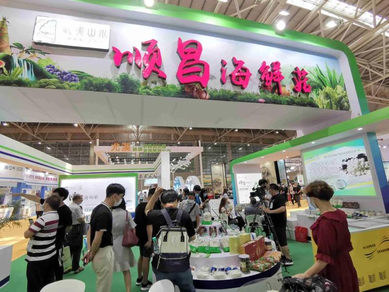 食用菌产业博览会：从菌种到餐桌的产业协同新枢纽
